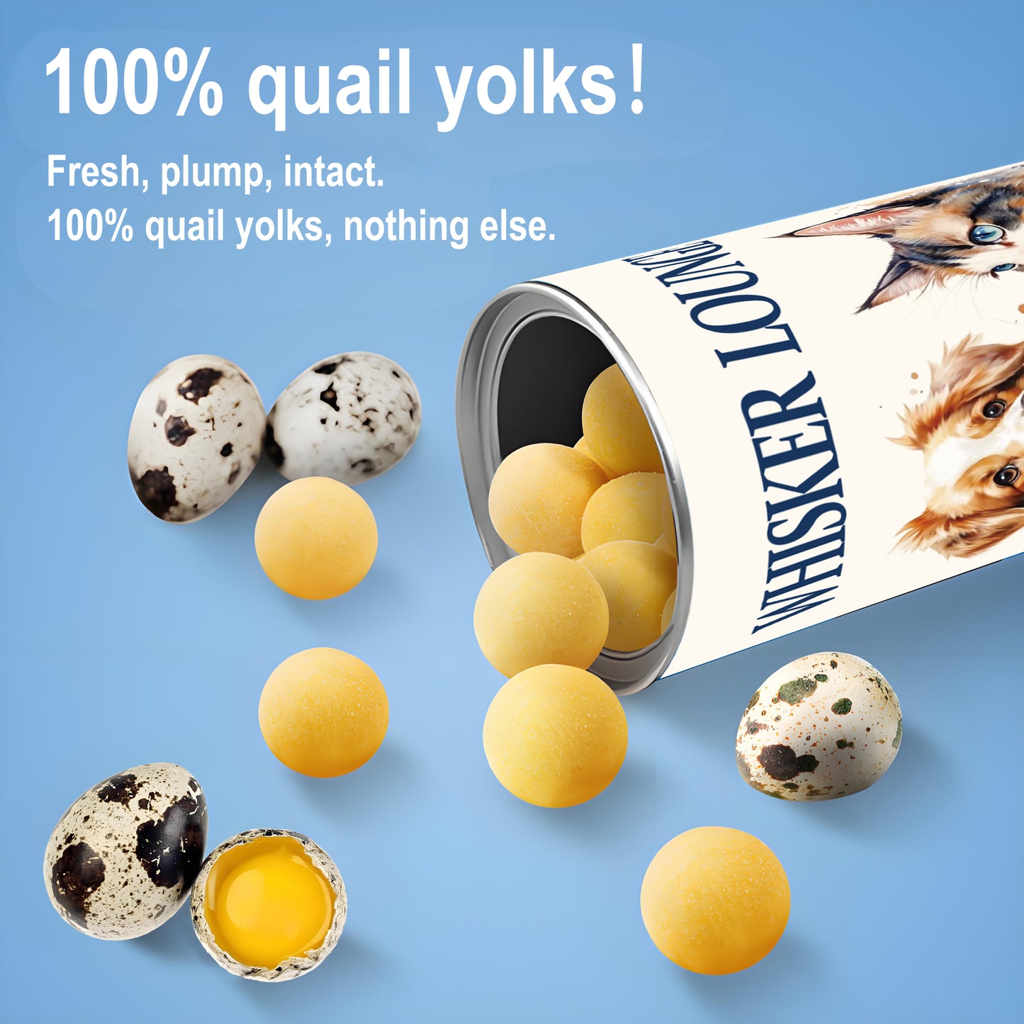 Freeze Dried Quail Egg Yolks 80g