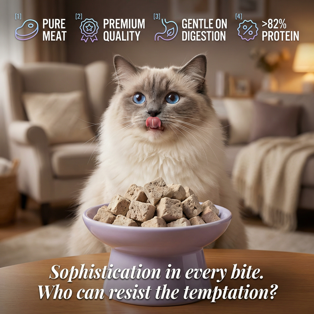 Best Freeze-Dried Cat Treats in the UK: What to Look For