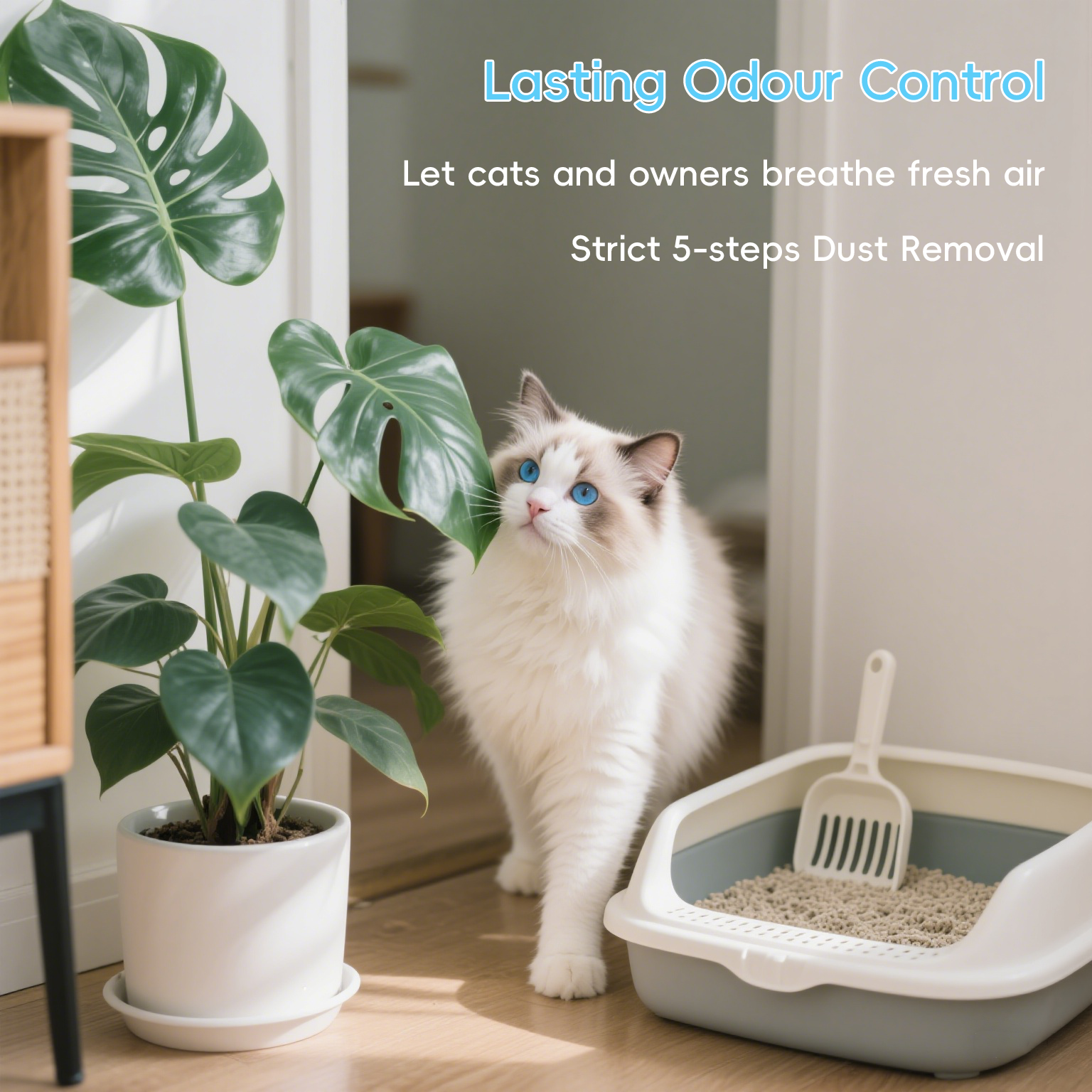 Tofu clumping cat litter 2.3kg for lasting odour control with a cat in a bright environment next to a litter box.