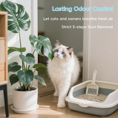 Tofu clumping cat litter 2.3kg for lasting odour control with a cat in a bright environment next to a litter box.