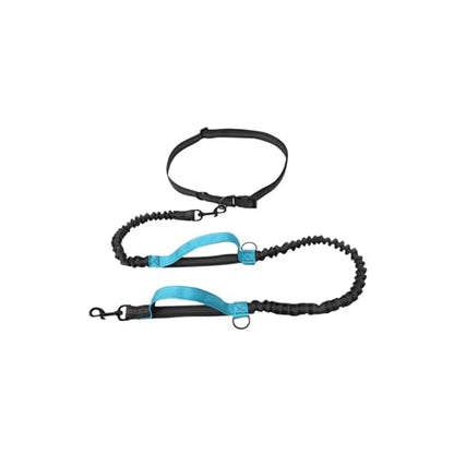 Reflective dog leash visibility detail