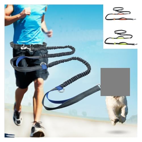 Hands free dog running belt leash