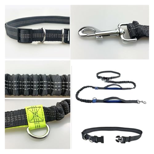 Elastic dog leash reflective strip close-up