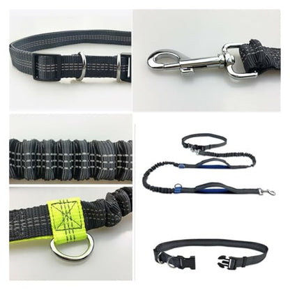 Elastic dog leash reflective strip close-up