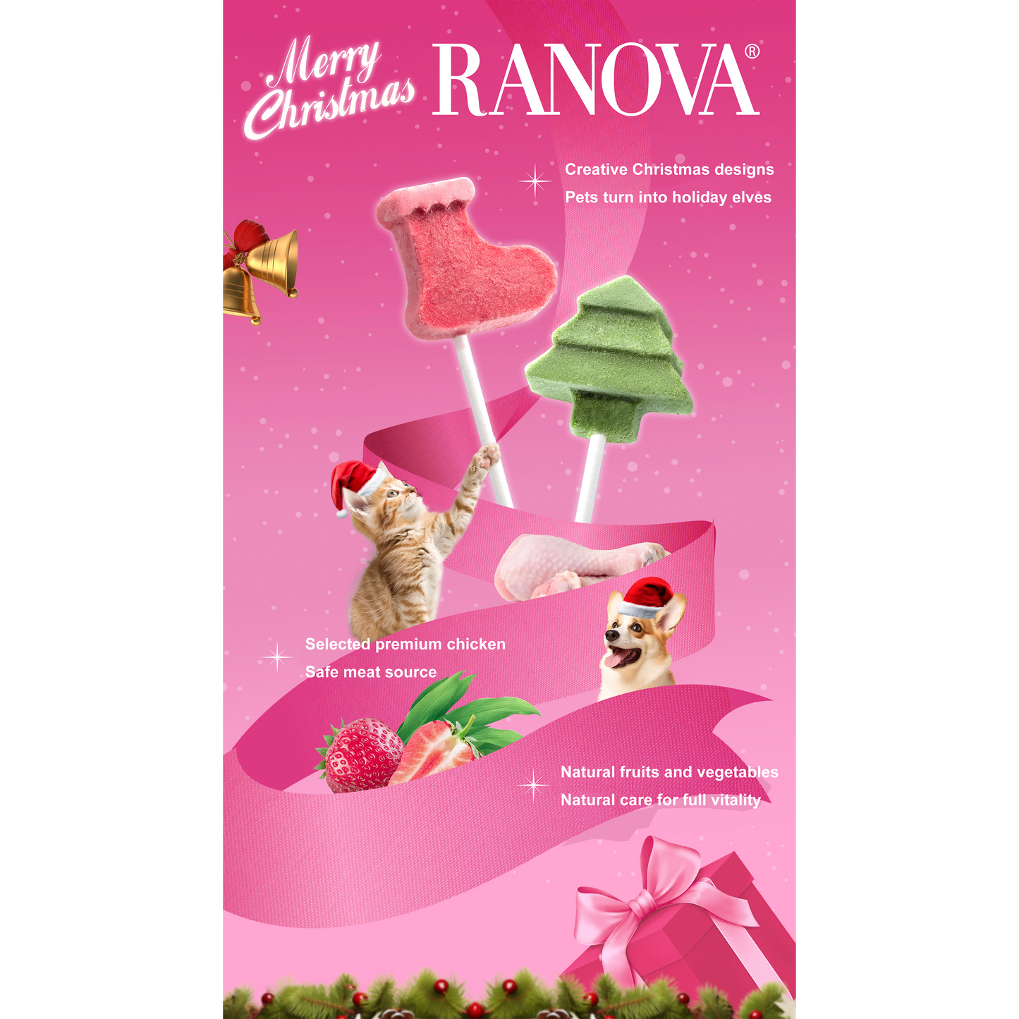 Freeze Dried Chicken Lollipops Cat Treats