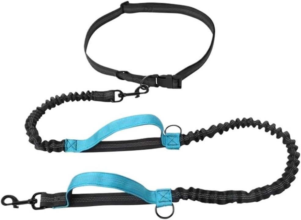 Reflective hands free dog leash with running belt