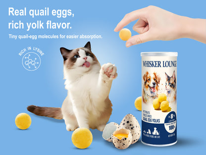 Freeze Dried Quail Egg Yolks 80g