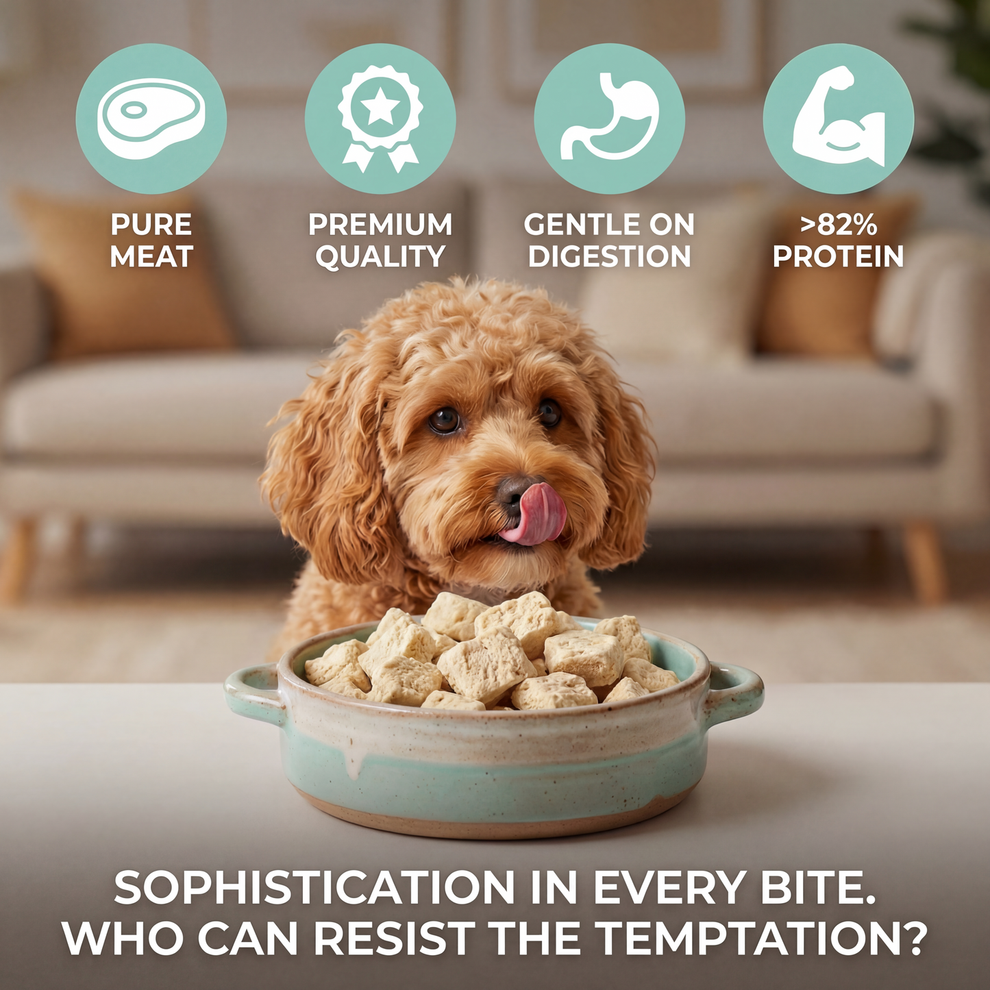 Freeze Dried Dog Food UK | Chicken & Duck High Protein Grain Free Treats