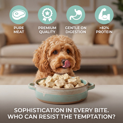 Freeze Dried Dog Food UK | Chicken & Duck High Protein Grain Free Treats