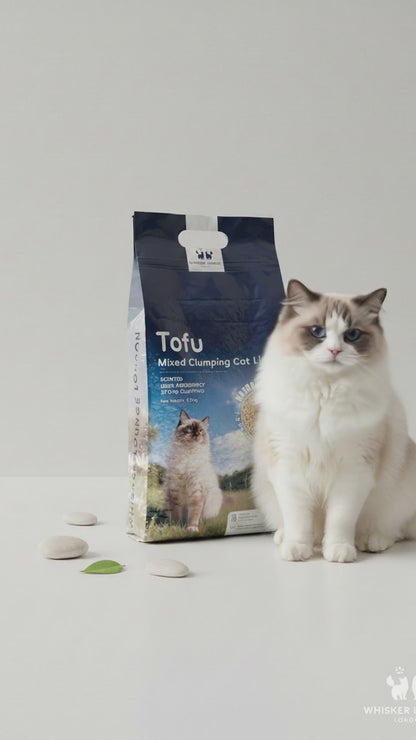 Tofu Clumping Cat Litter – Bentonite Blend, Dust-Free