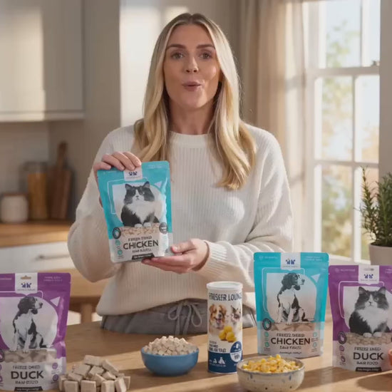 Whisker Lounge Freeze Dried Pet Treats 
