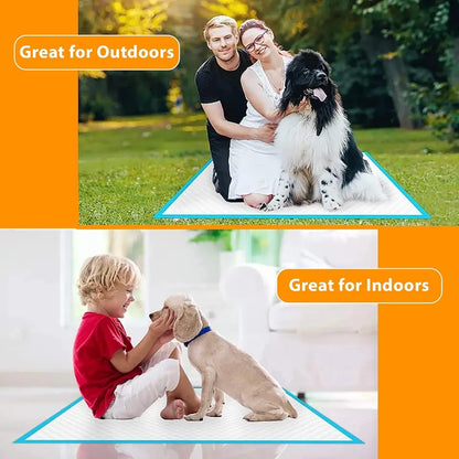 Puppy training pad leak-proof demonstration