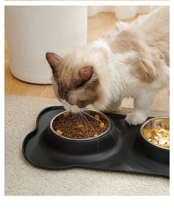 Black double cat bowl with cat eating