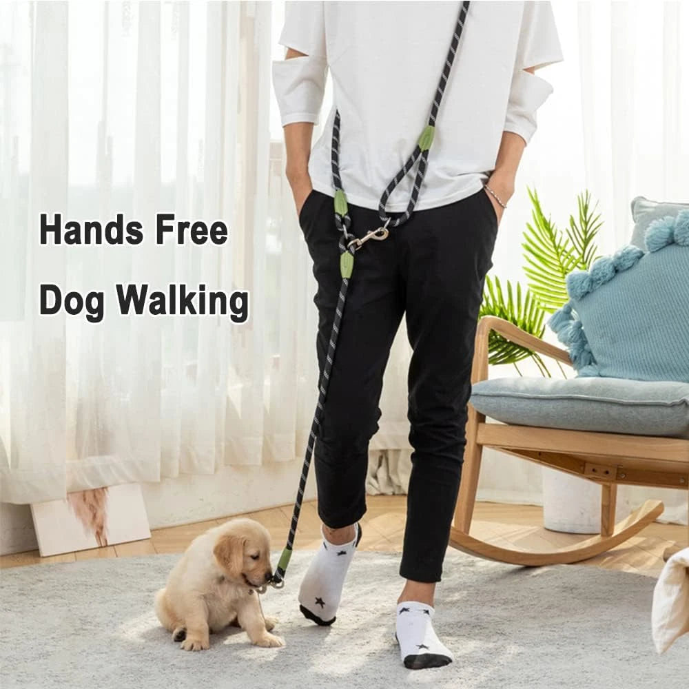 Hands free dog lead training use